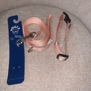 Youly Peach Dog Leash and Collar set